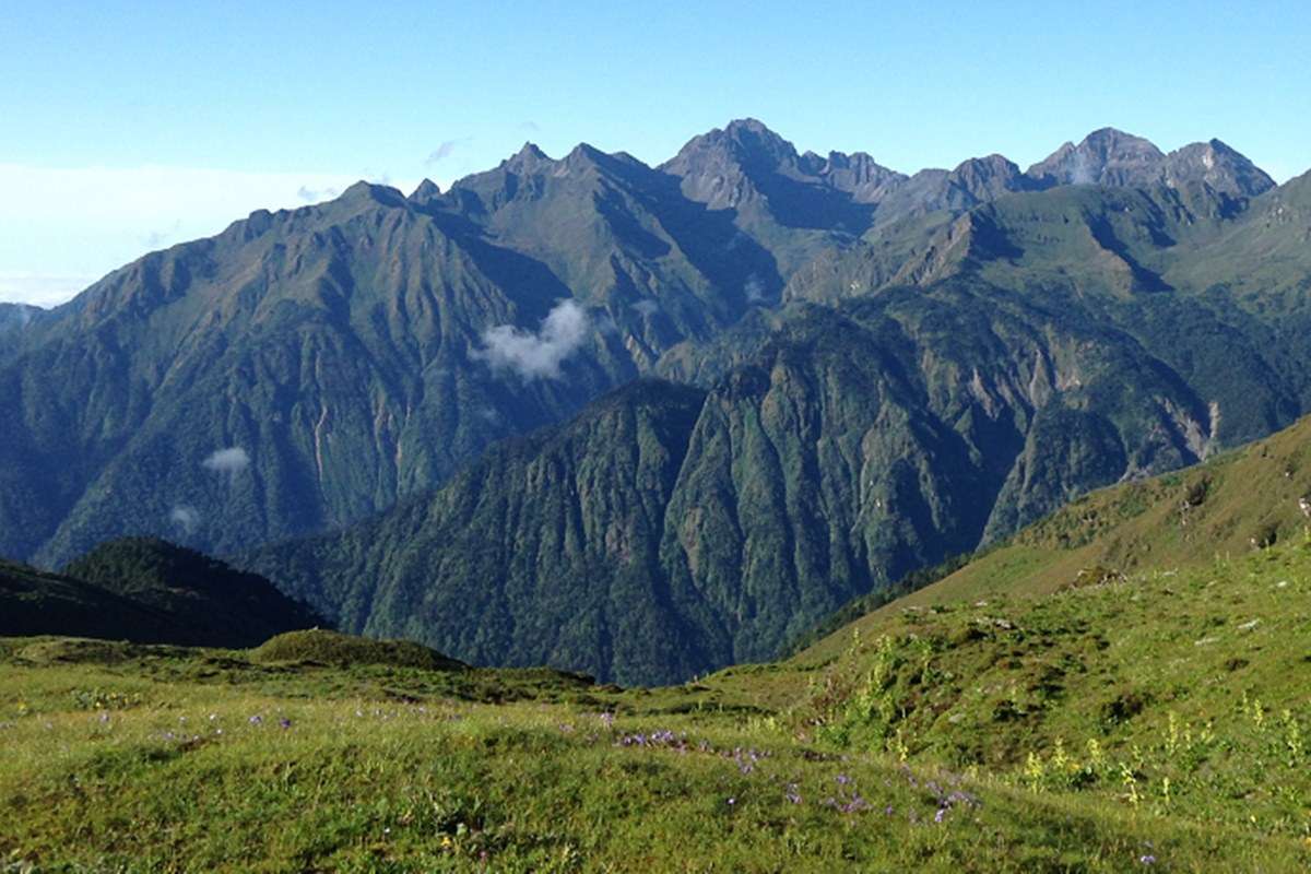 Jigme Singye Wangchuck National Park