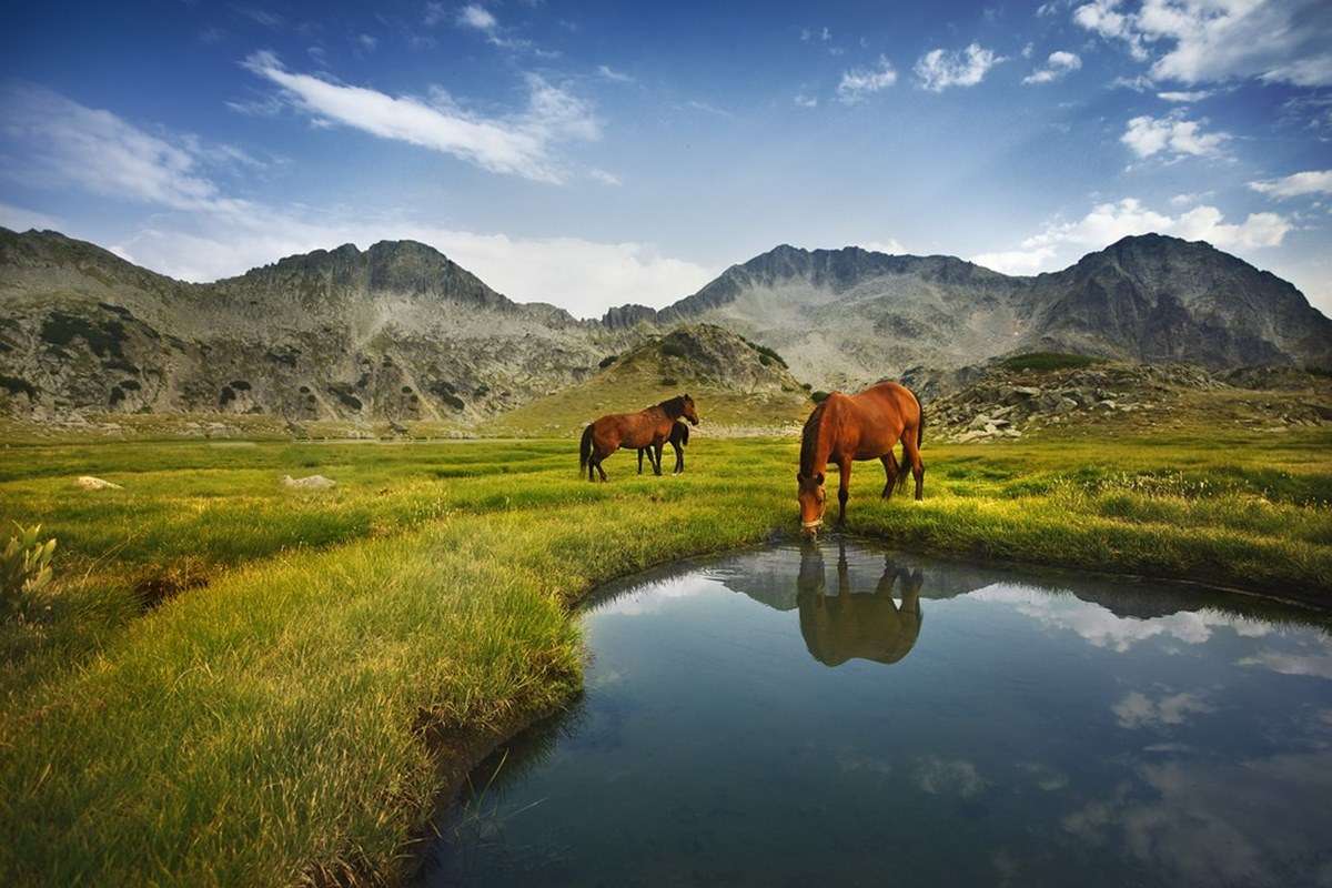 Pirin National Park