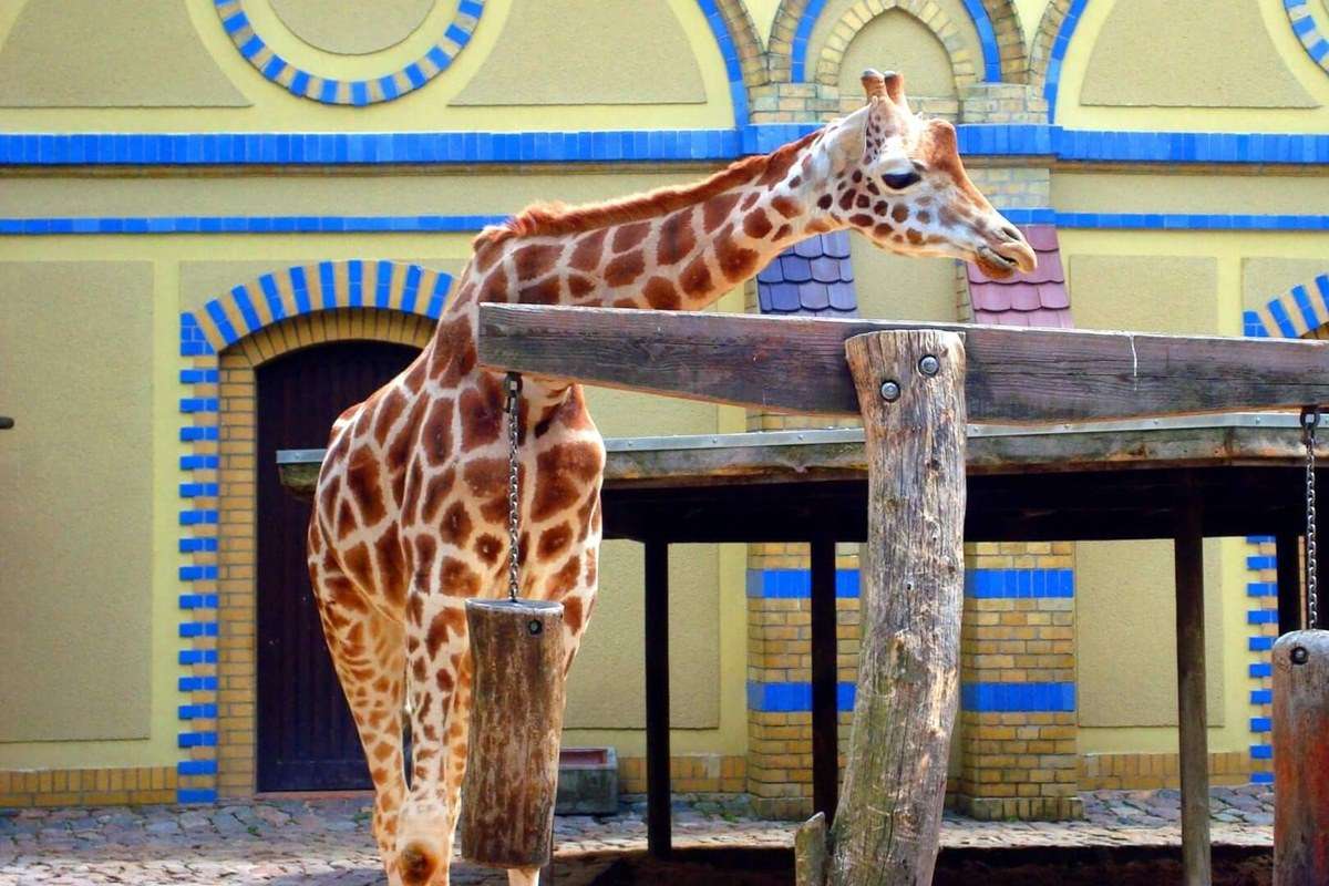 Berlin Zoological Garden