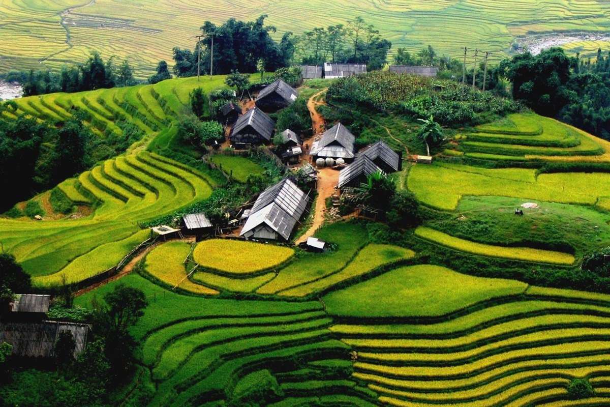 Sa Pa Terraces