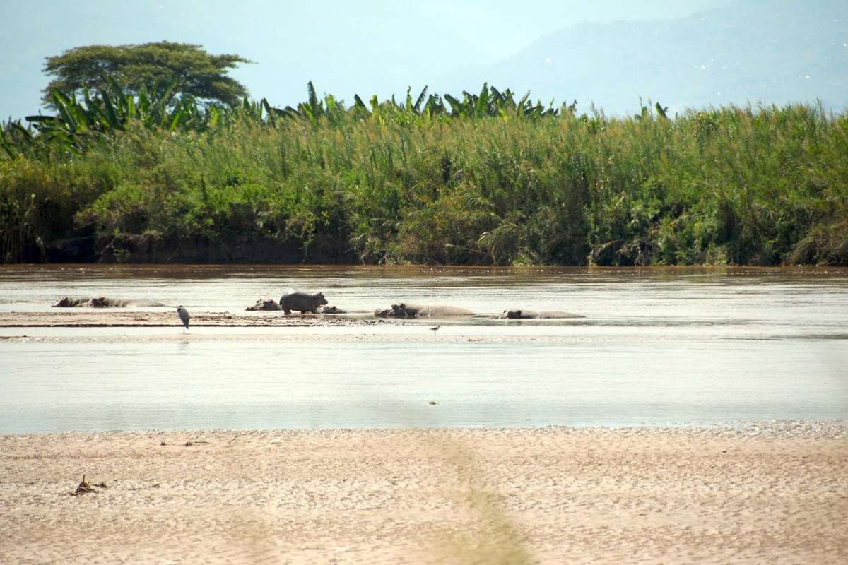 Rusizi River National Park