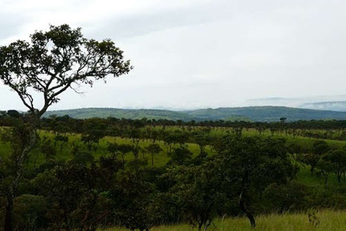 Ruvubu National Park