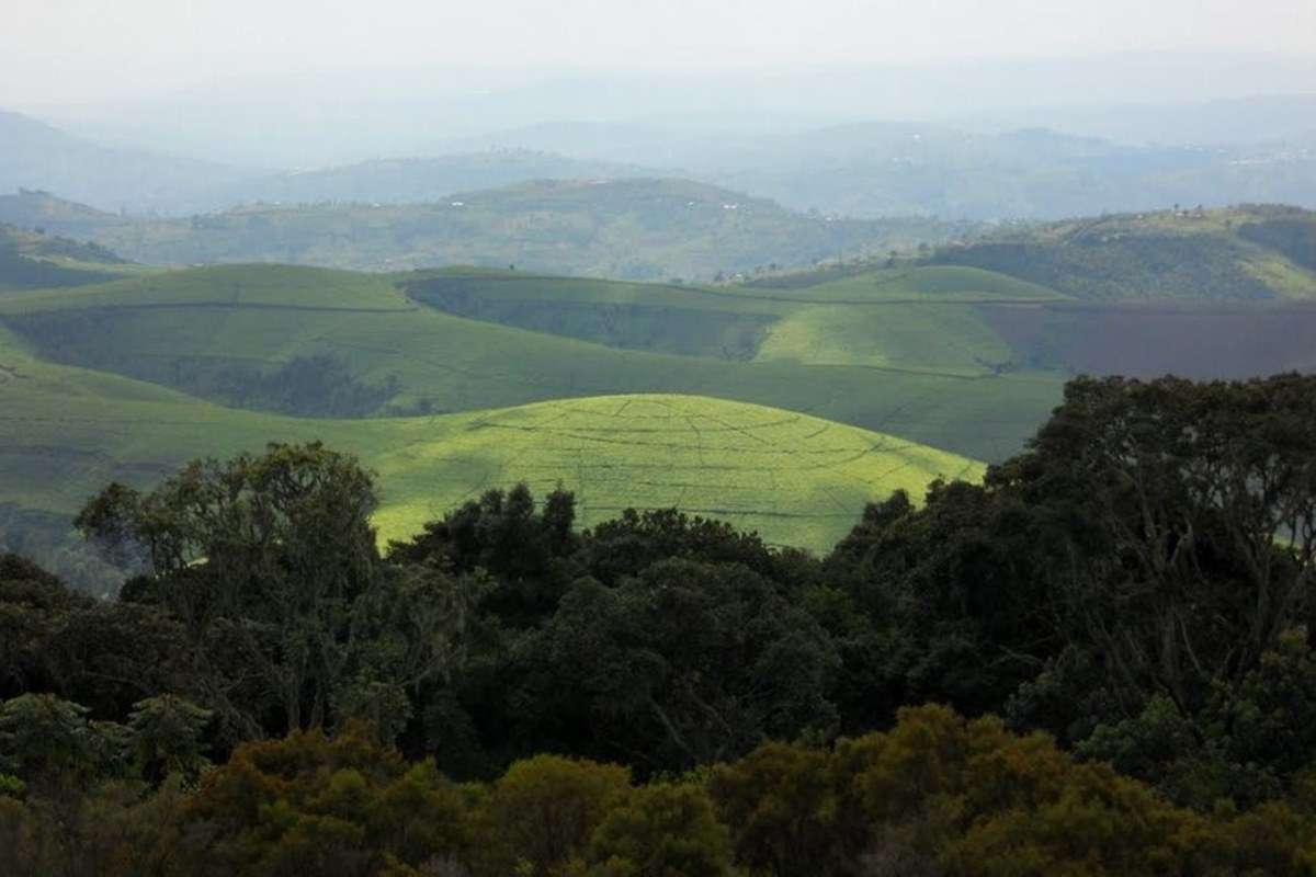 Kibira National Park