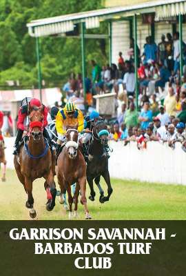 Garrison Savannah - Barbados Turf Club