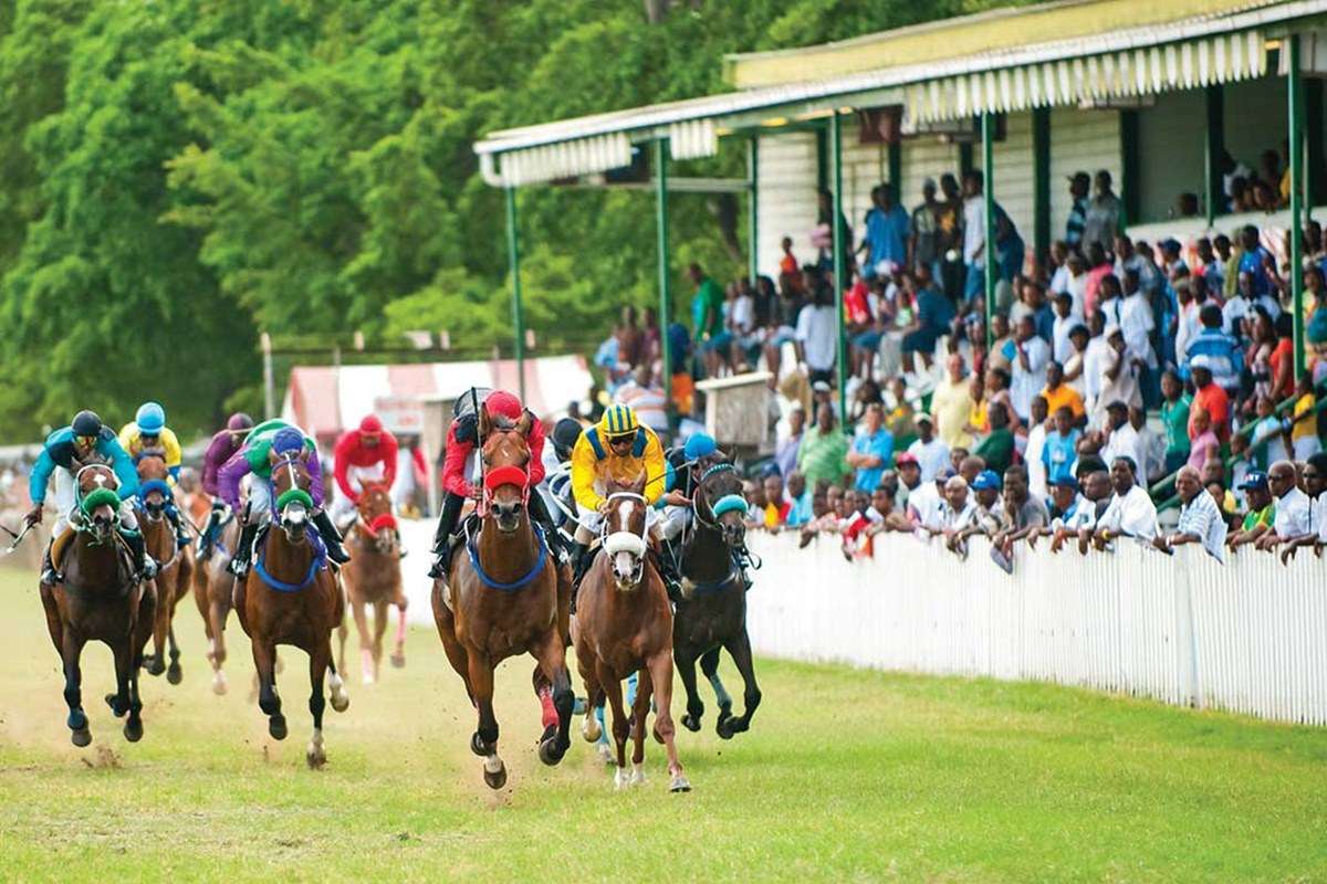 Garrison Savannah - Barbados Turf Club