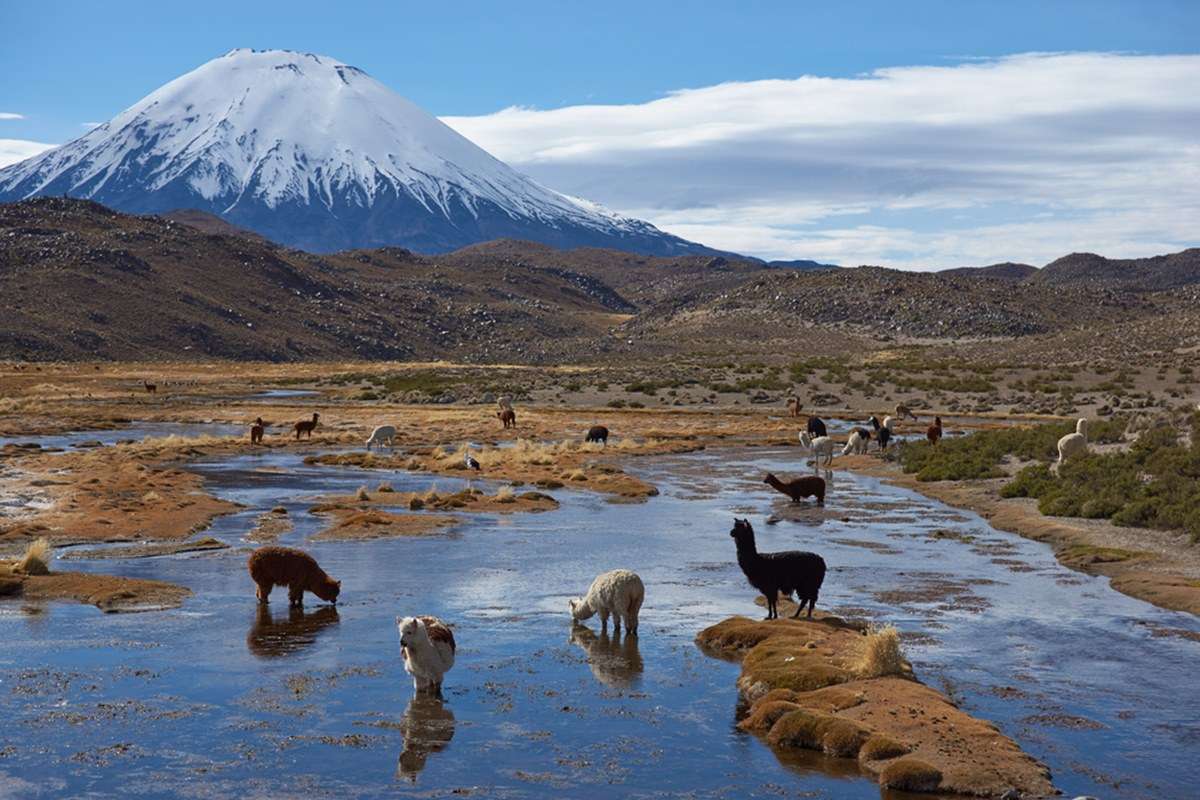 Lauca National Park