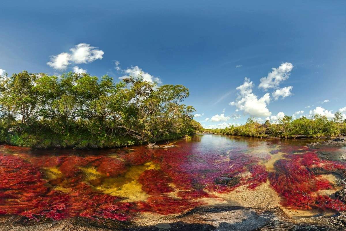 Cano Cristales