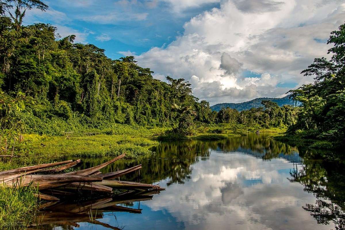 Manú National Park