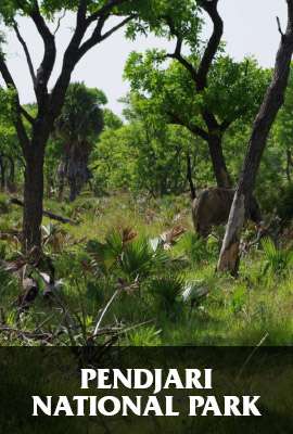 Pendjari National Park