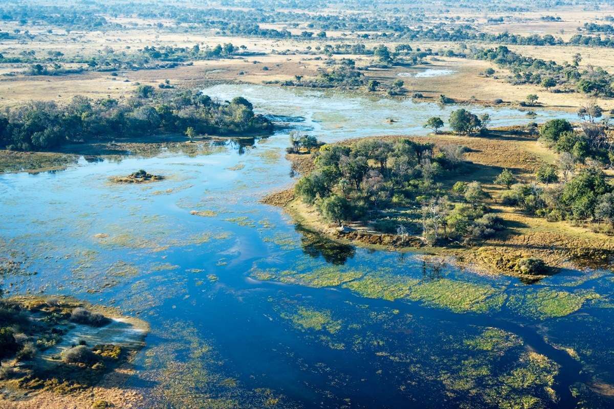 Okavango Delta