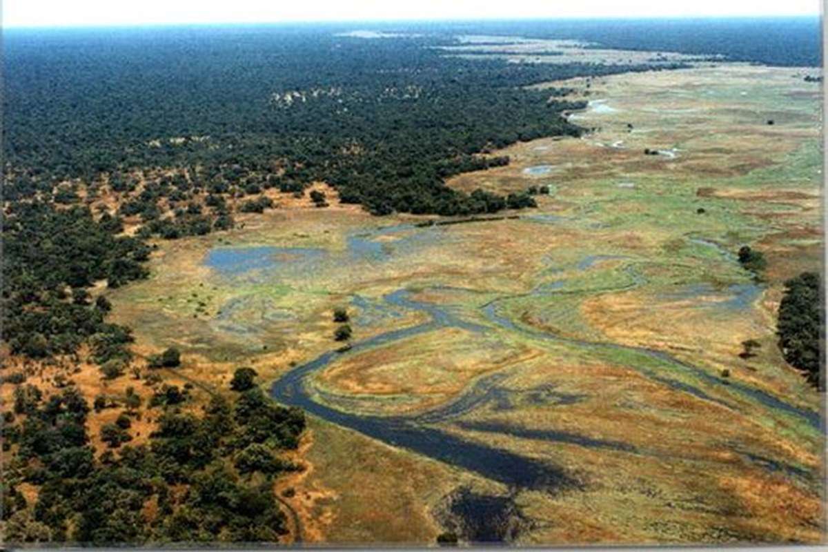 Manovo-Gounda St. Floris National Park