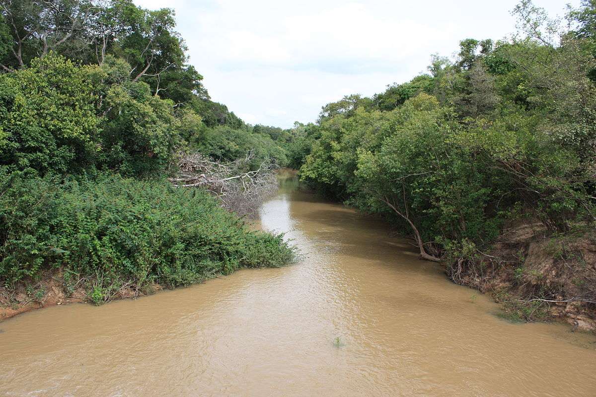 Comoe National Park