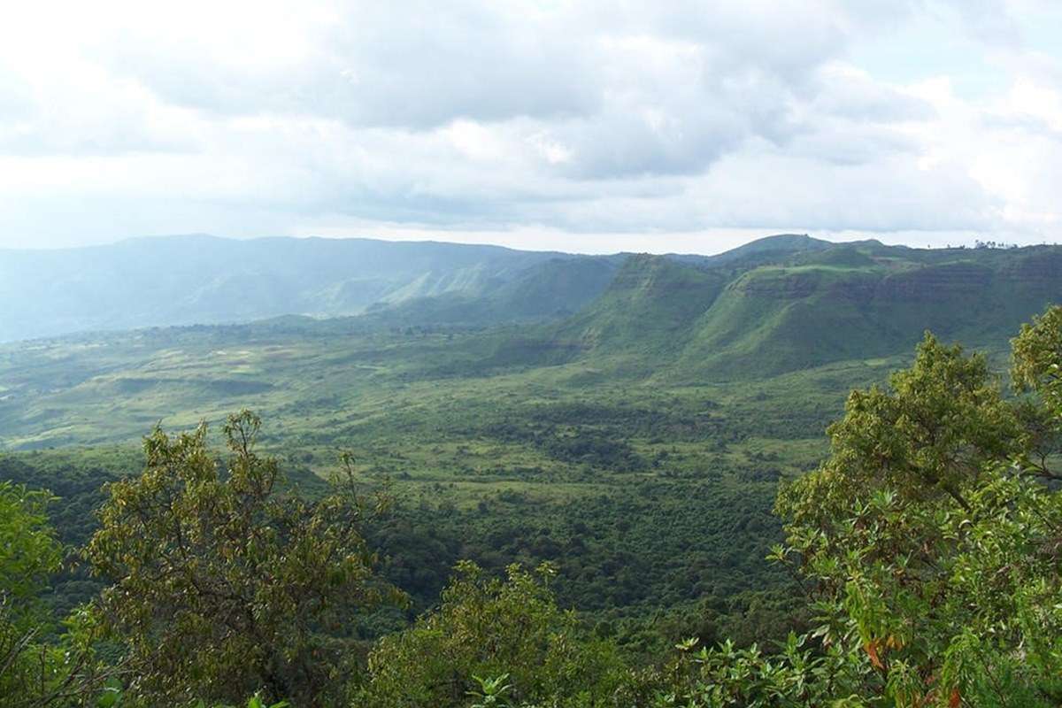 Omo National Park