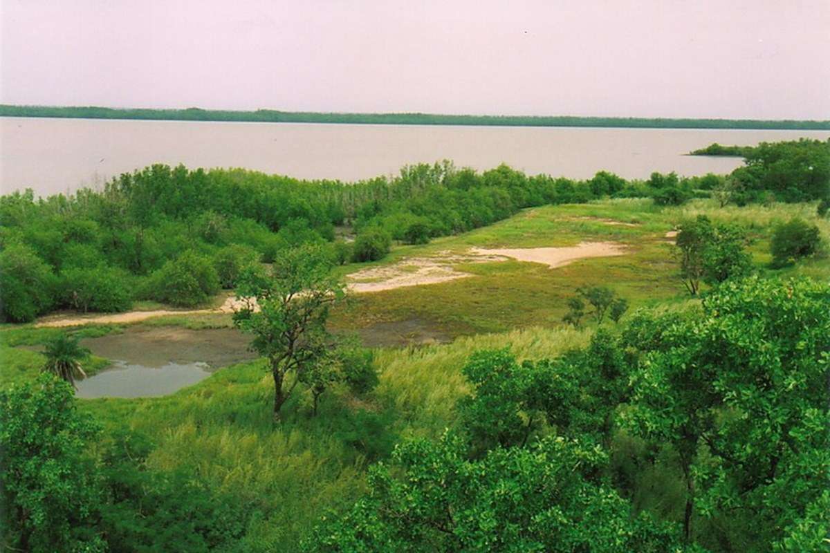 Kiang West National Park