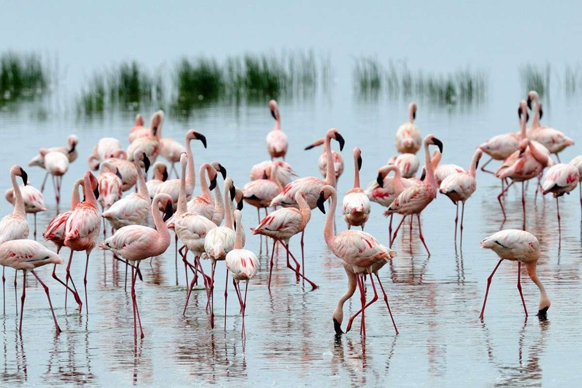 Lake Nakuru National Park