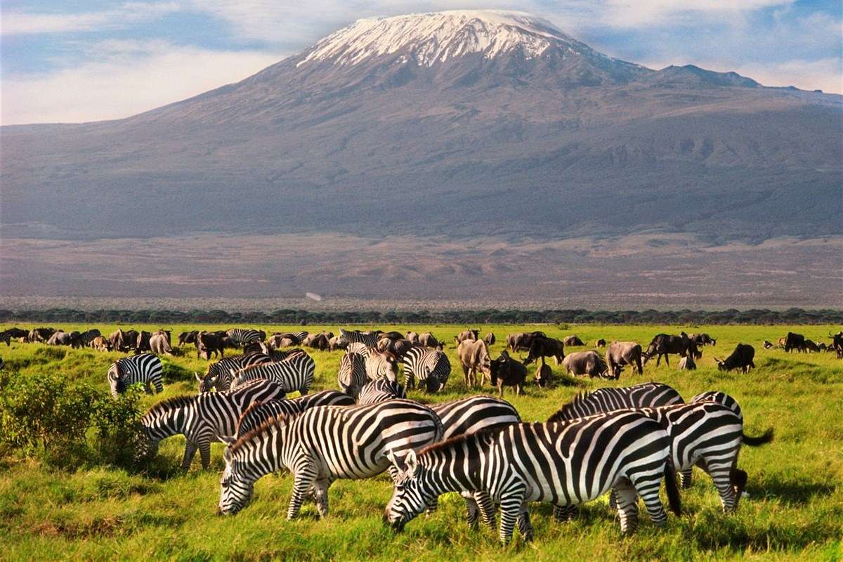 Amboseli National Park