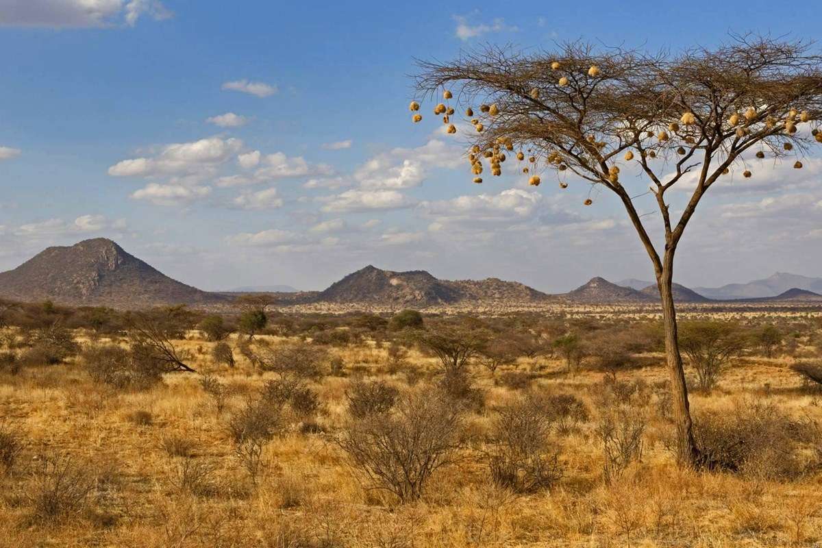 Samburu National Reserve