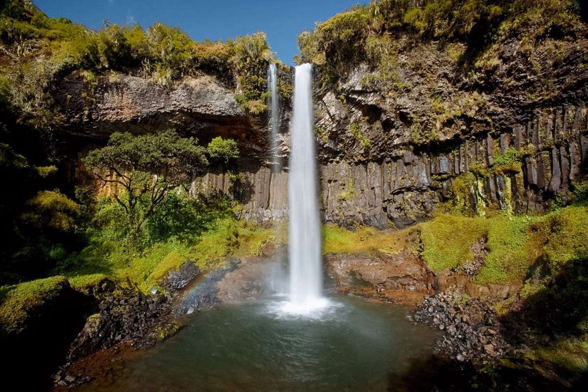 Aberdare National Park