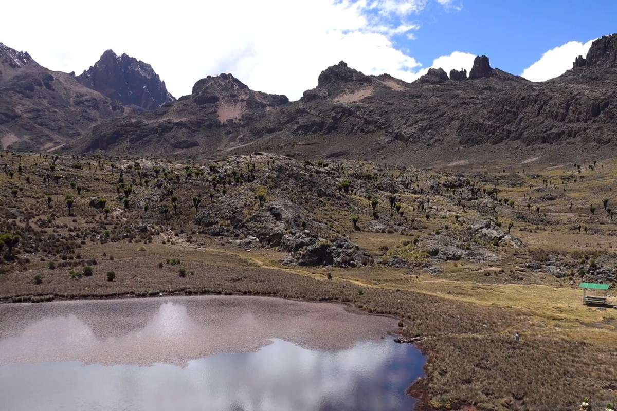 Mount Kenya National Park