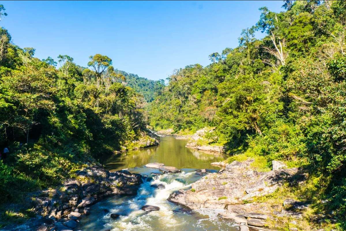 Ranomafana National Park