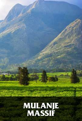 Mulanje Massif