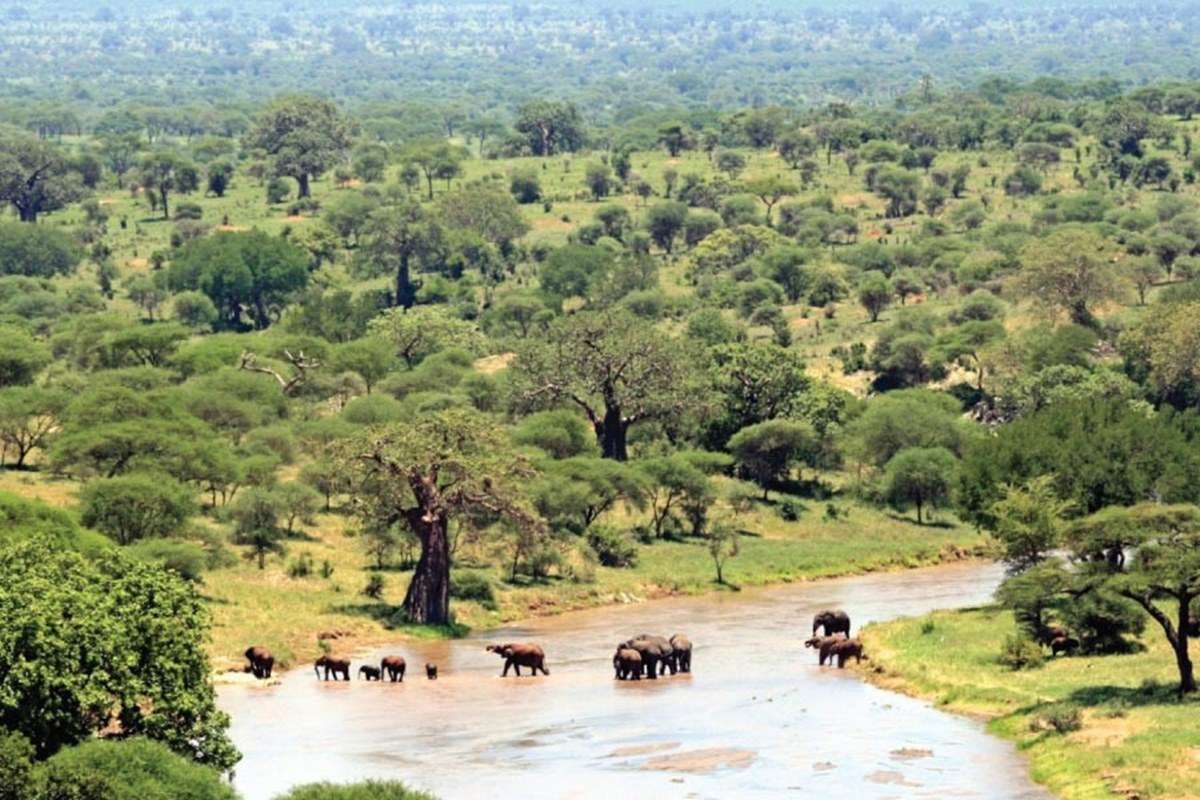 Vwaza Marsh Game Reserve