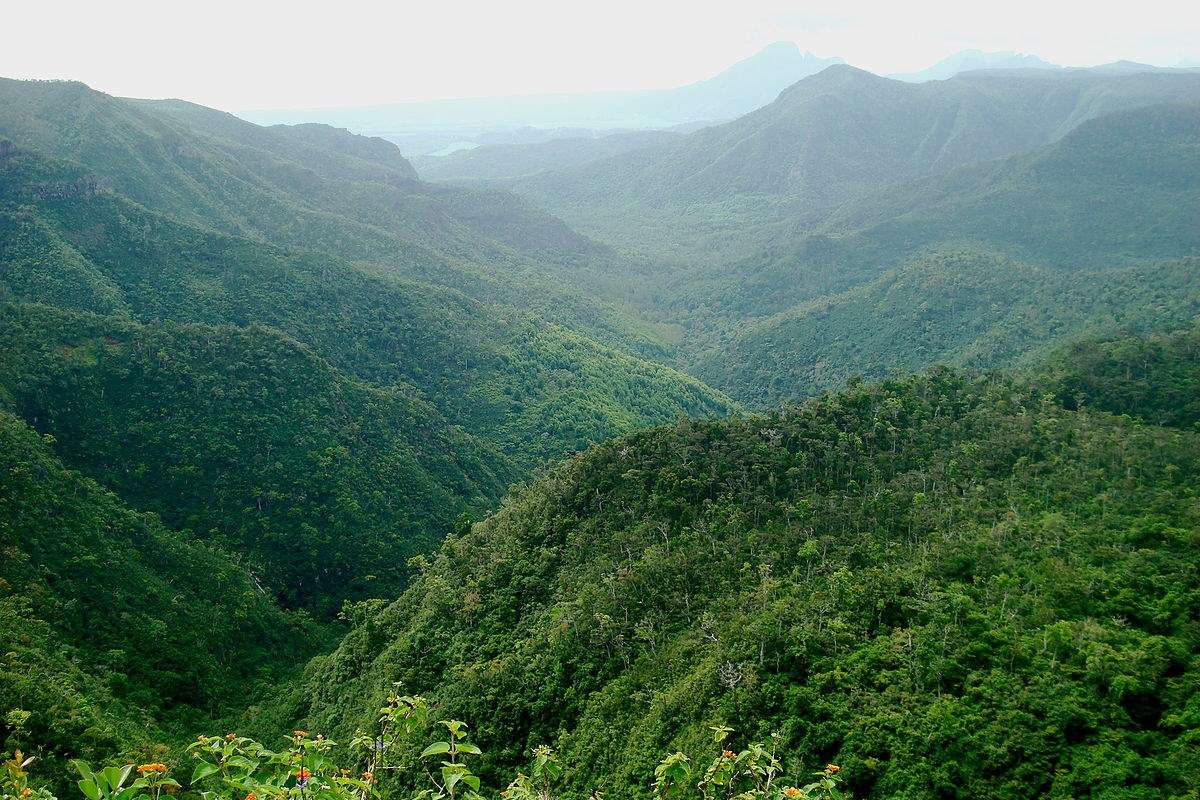 Black River Gorges National Park