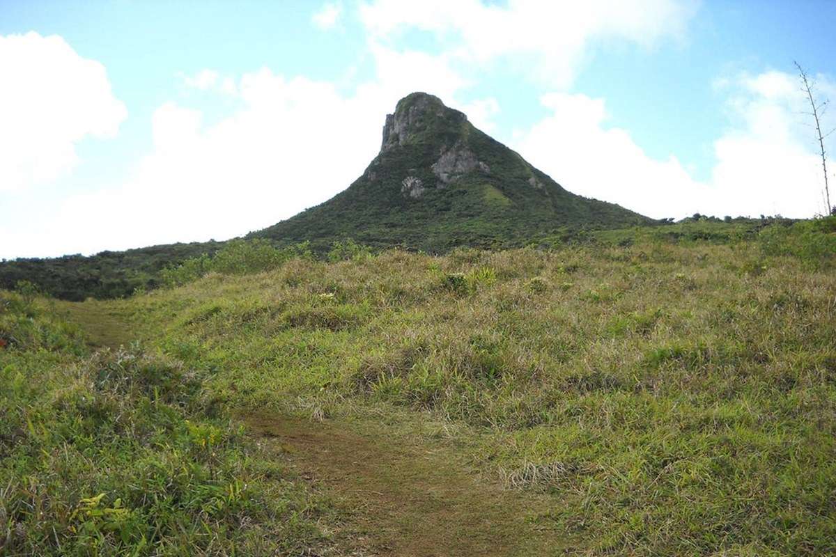 Piton de la Petite Riviere Noire