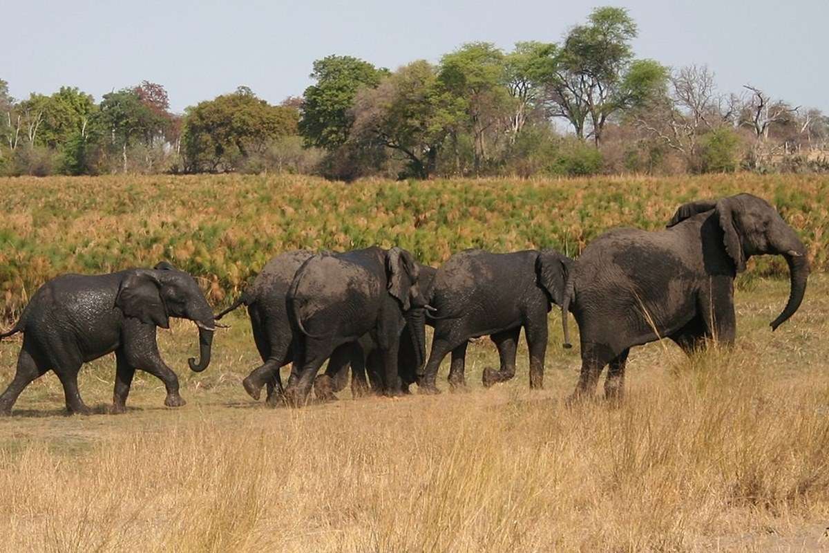 Bwabwata National Park