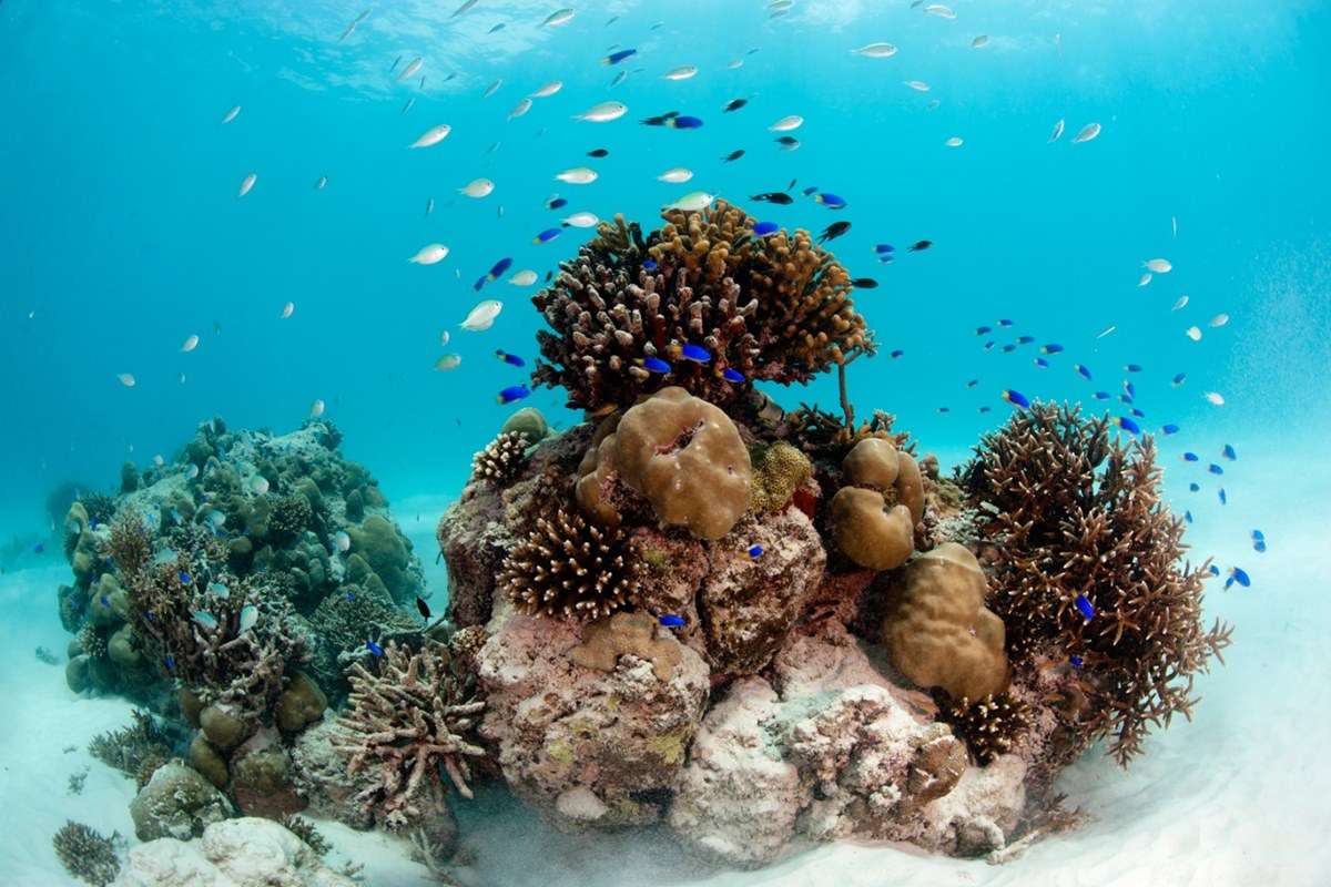 Sainte Anne Marine National Park