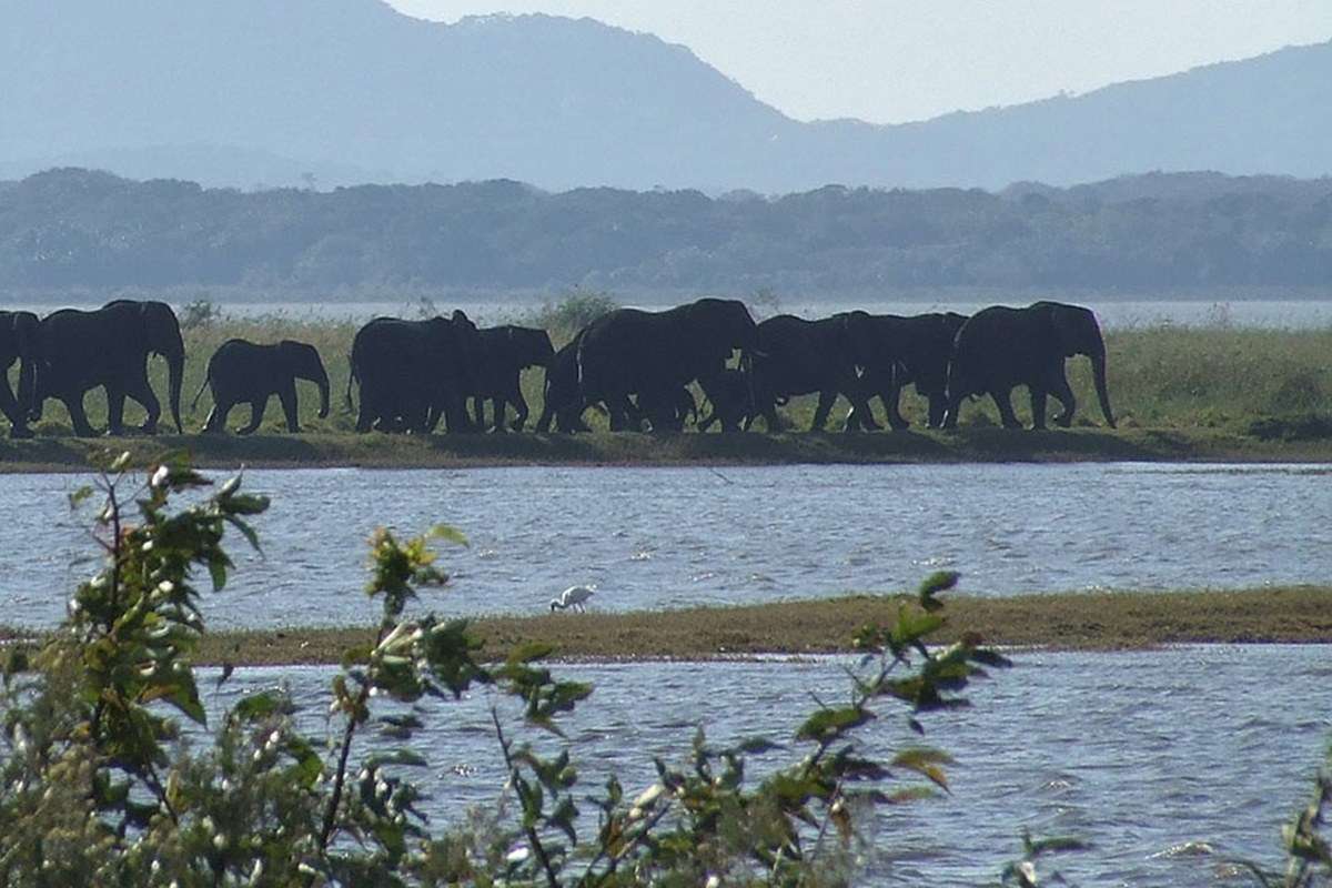 iSimangaliso Wetland Park