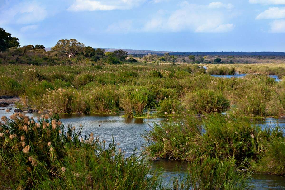 Kruger National Park