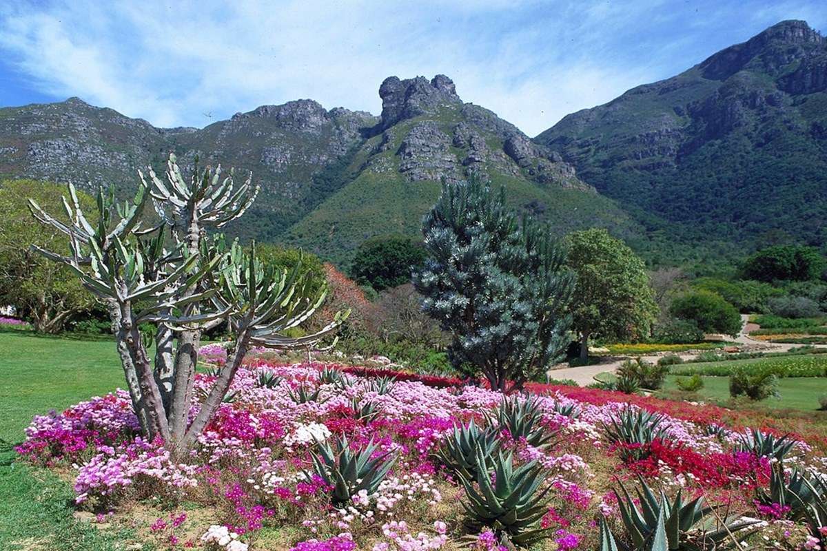 Kirstenbosch National Botanical Garden