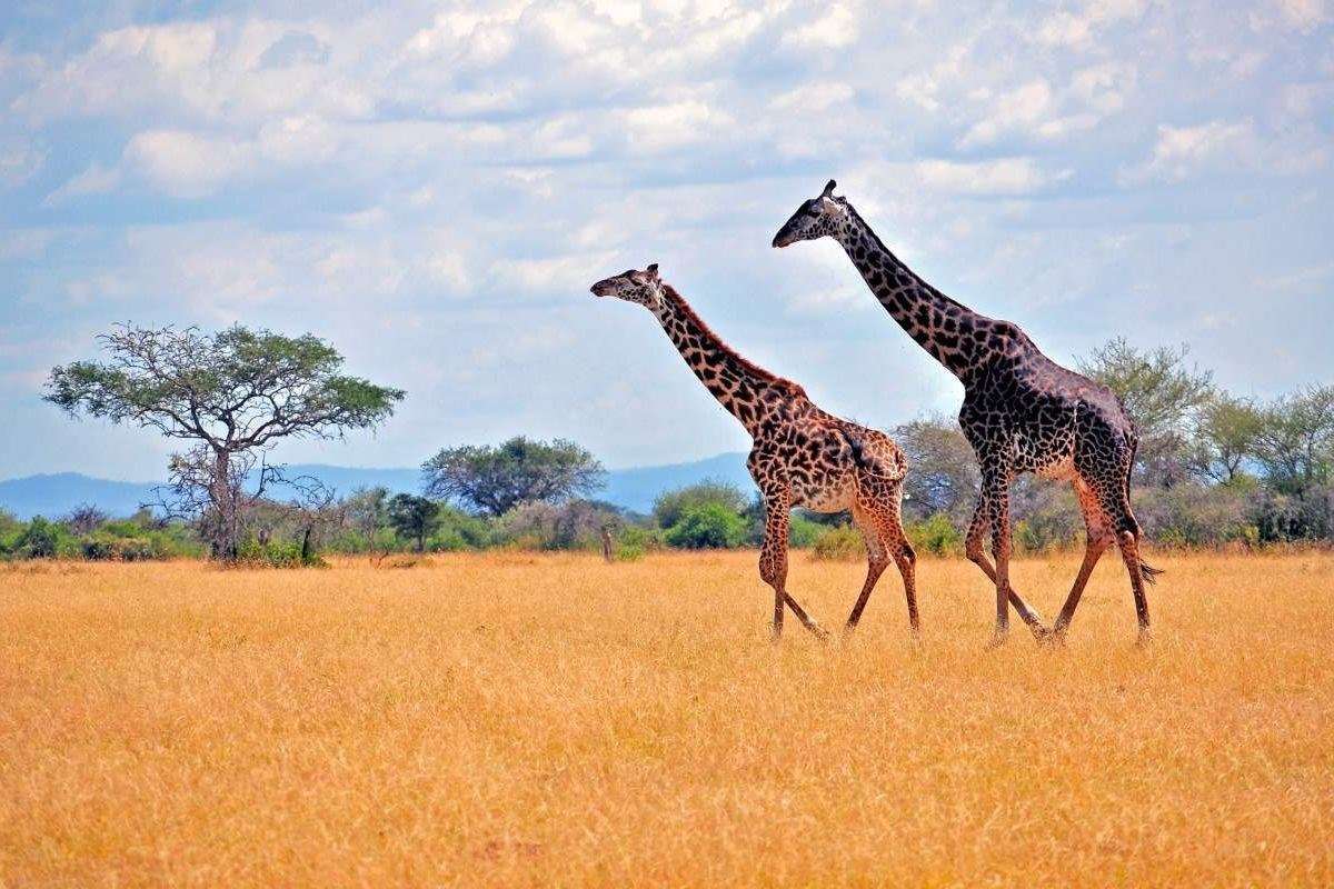 Serengeti National Park