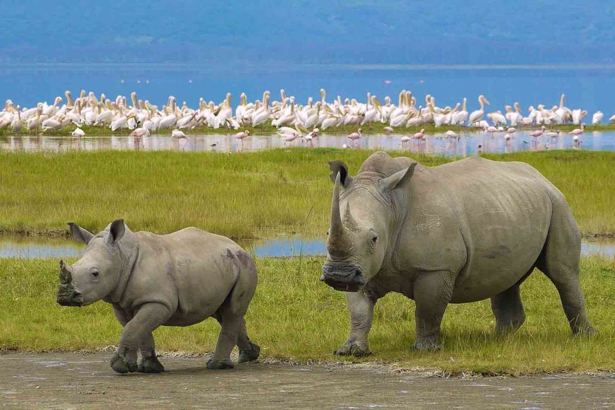 Ngorongoro Conservation Area