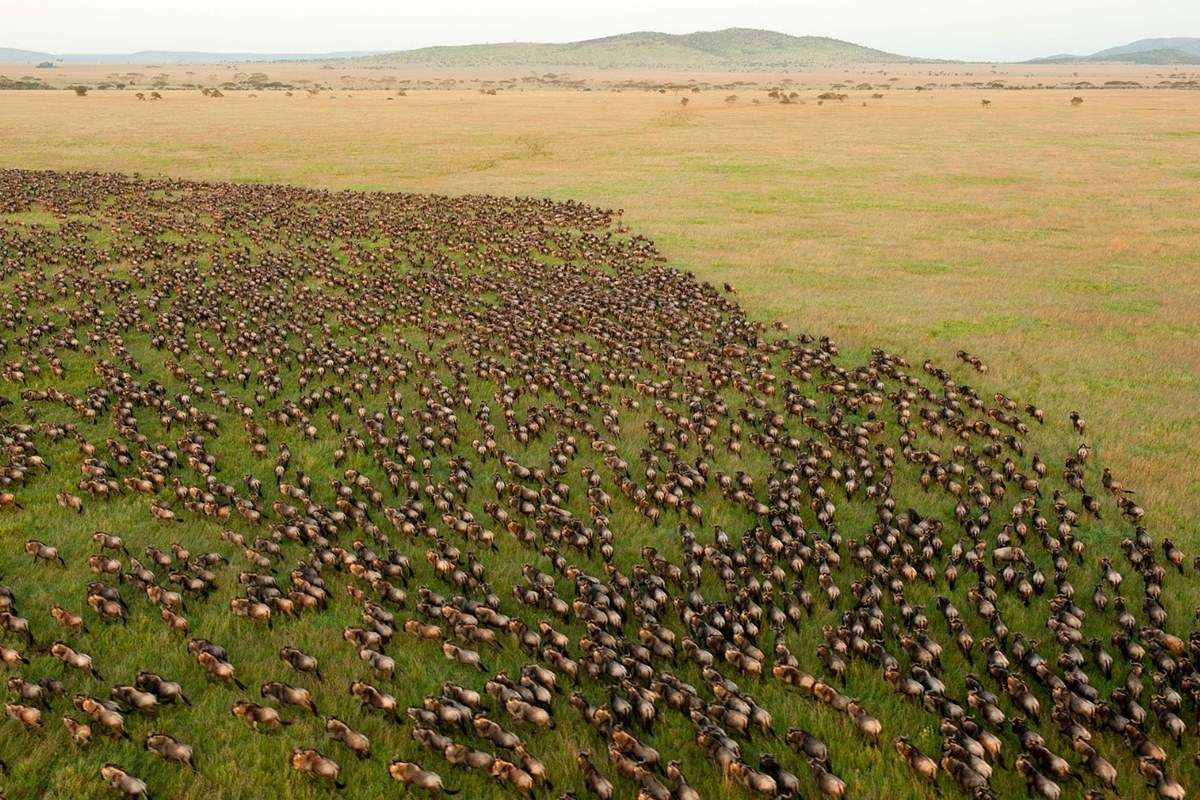 Serengeti National Park