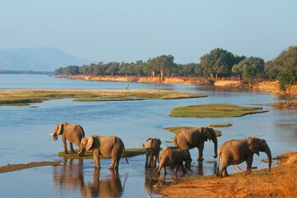 Mana Pools National Park