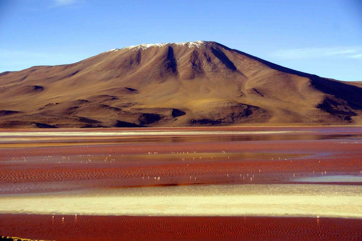 Laguna Colorada