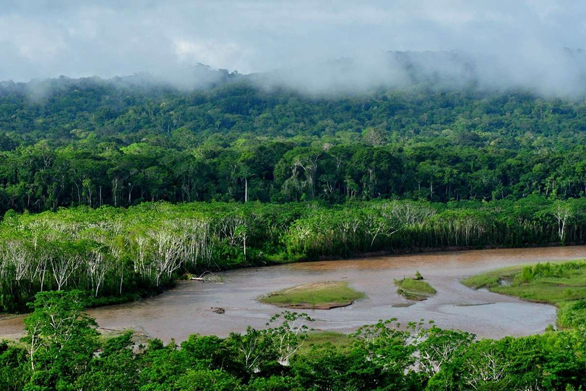 Madidi National Park