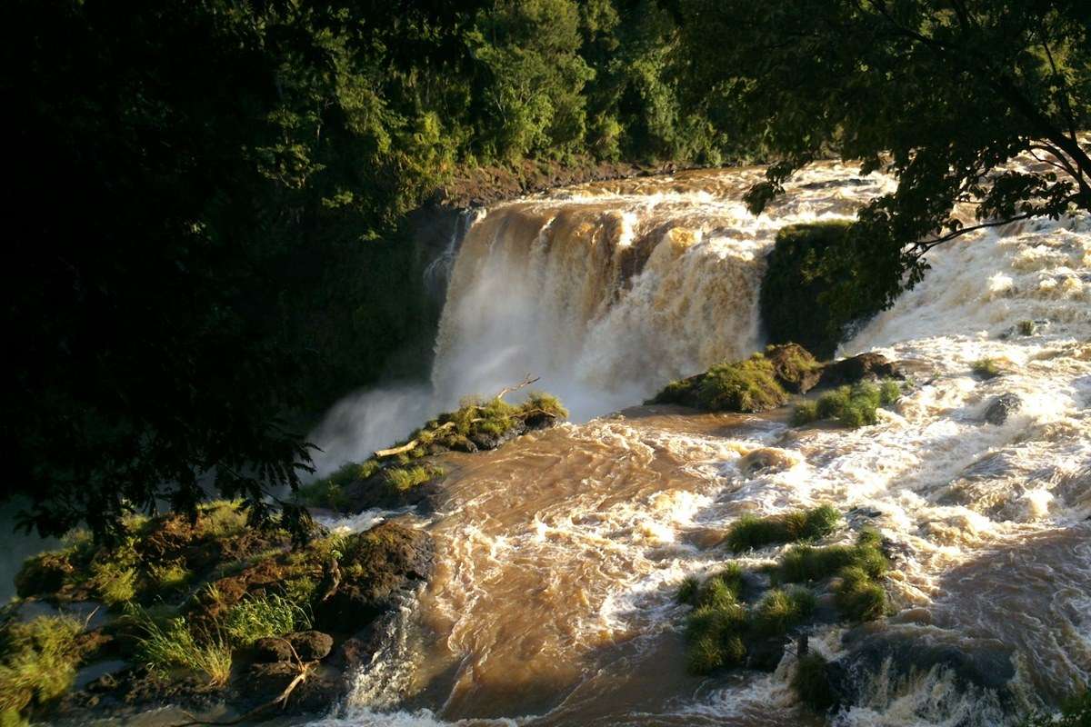 Saltos del Monday