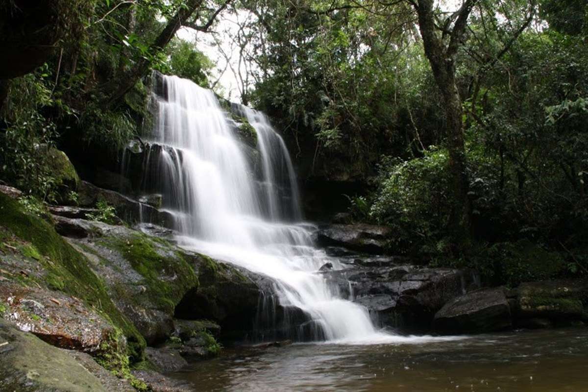 Ybycuí National Park