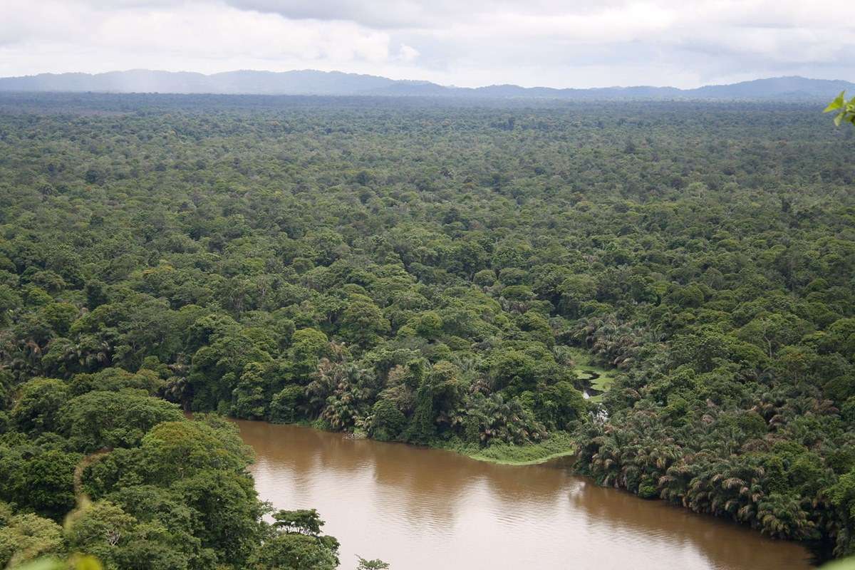 Tortuguero National Park