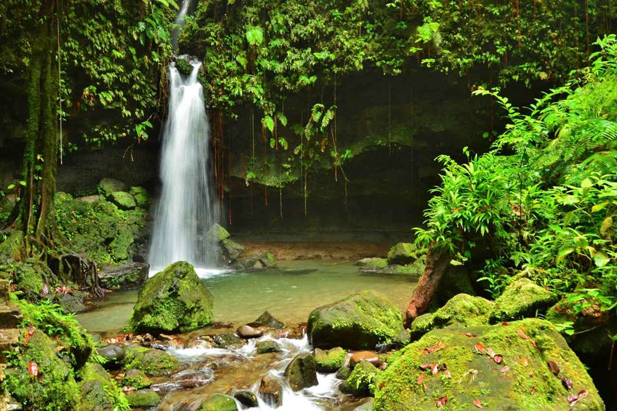 Morne Trois Pitons National Park