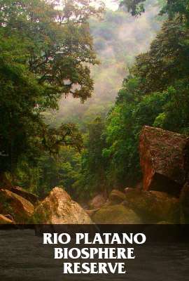 Rio Platano Biosphere Reserve