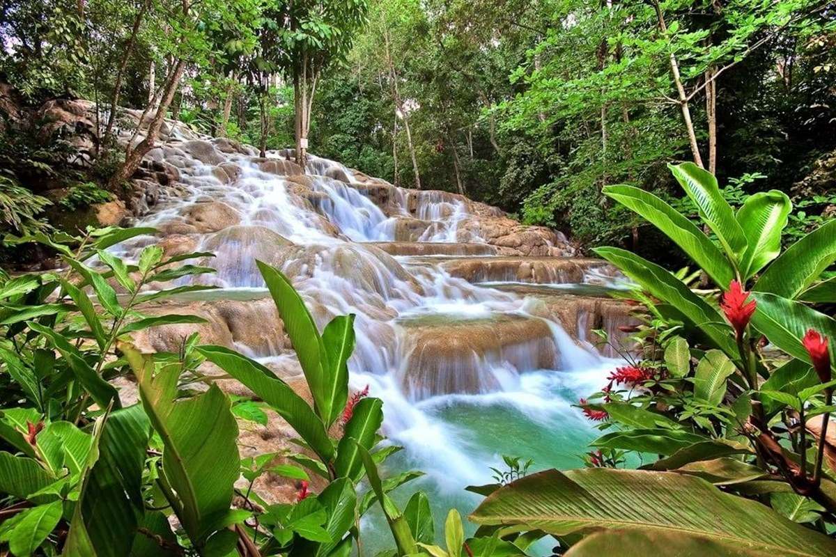 Dunn's River Falls