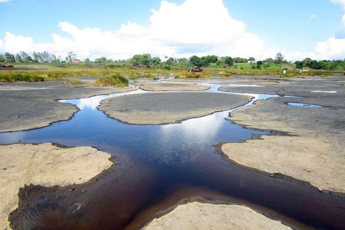 Pitch Lake