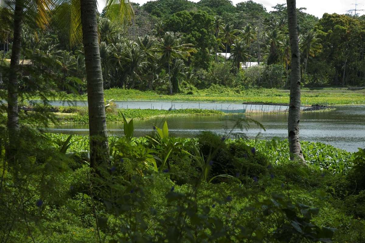 Buada Lagoon