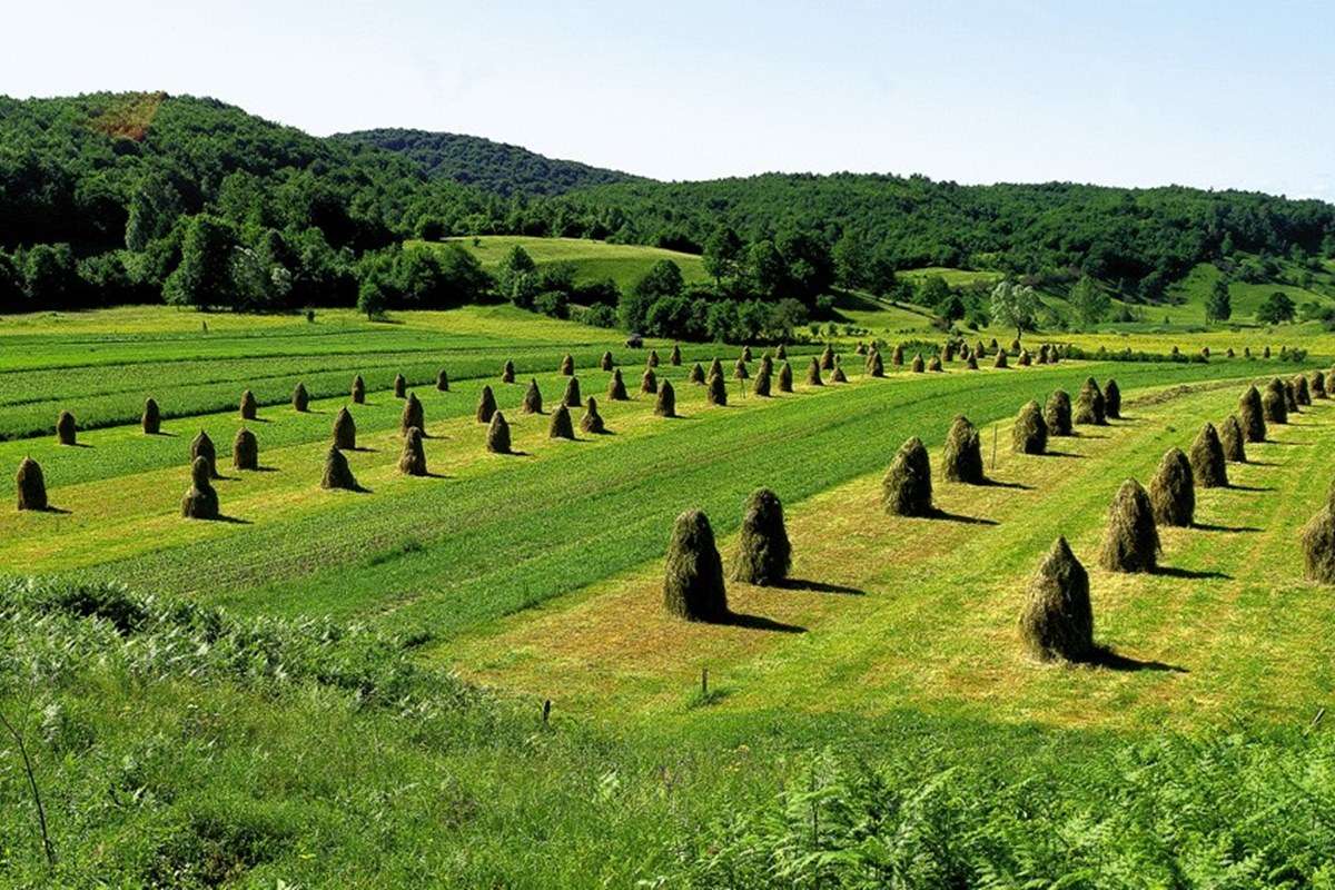 Zumberak Nature Park