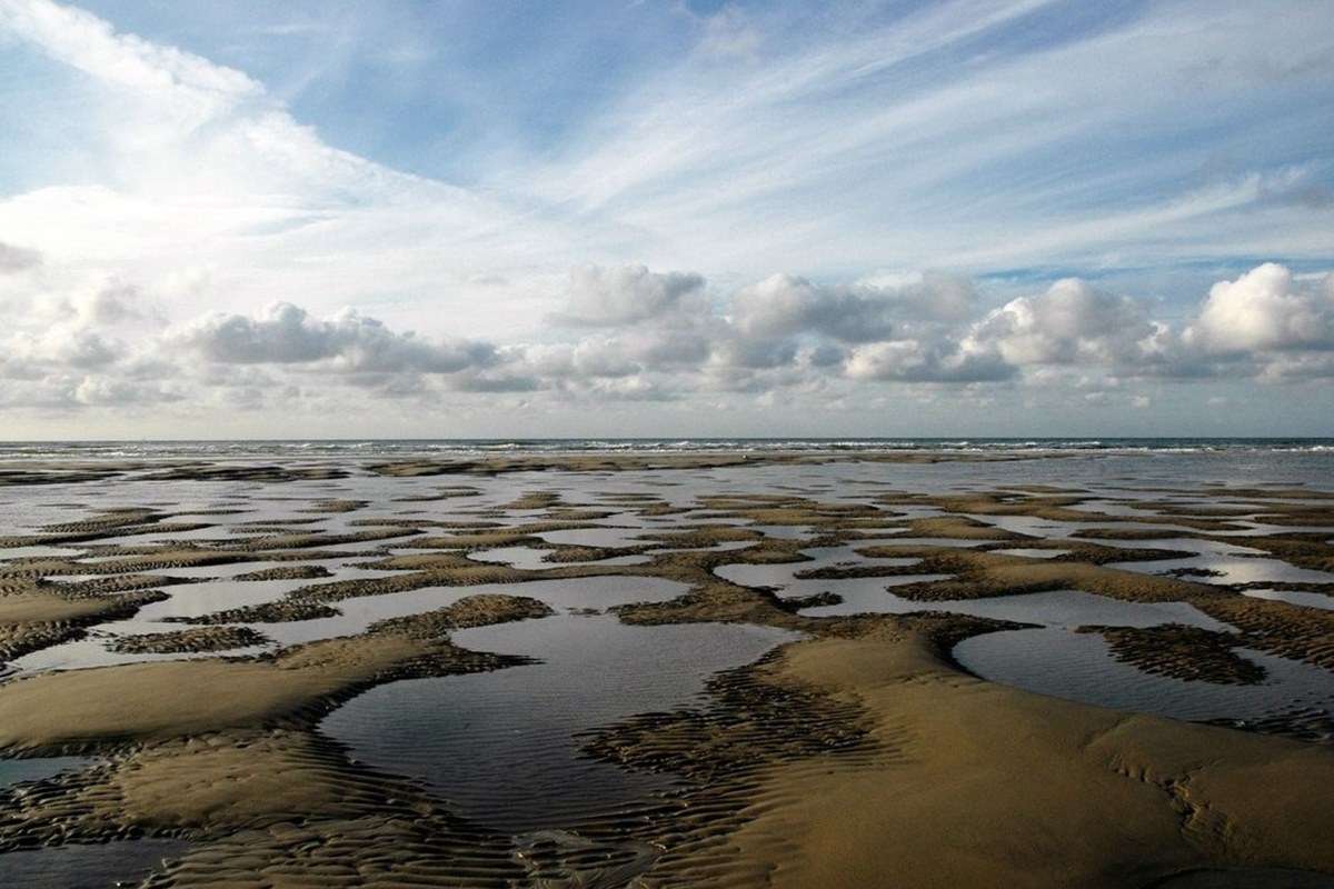 Wadden Sea