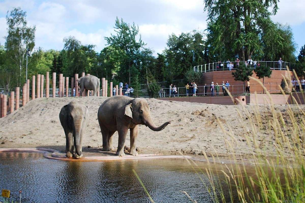 Copenhagen Zoo